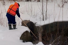 Свыше 27 тонн опасных отходов собрали экологические службы за неделю