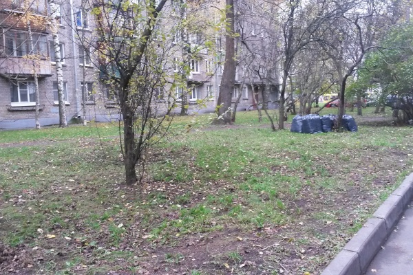 Осенний месячник по благоустройству 2016 года - 17 октября