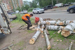 Уборка поваленных ветром деревьев на территории Выборгского района