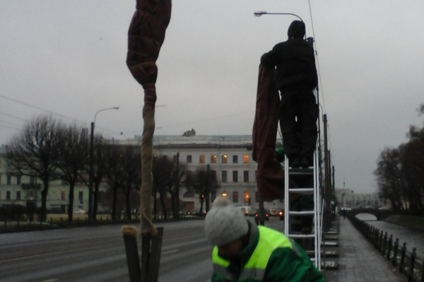 Деревья "приодели" к зиме