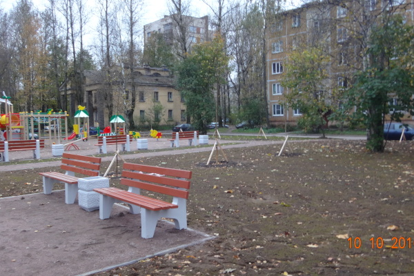 В сквере по улице Седова высадили молодые деревья в рамках осеннего месячника по благоустройству