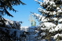 Морской порт Санкт‑Петербург вдвое увеличил финансирование экологической программы