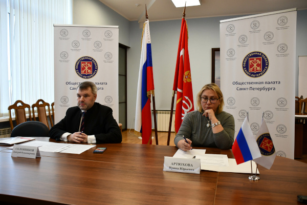 Общественная палата Санкт‑Петербурга взяла на контроль готовность города к зиме