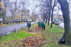 В Невском районе подвели итоги традиционного осеннего месячника по благоустройству