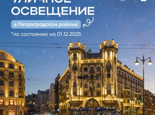 День энергетика: более тысячи новых светильников появилось в Петроградском районе за 2025 год