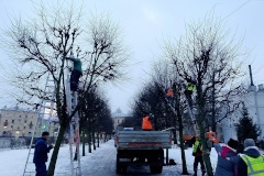 В Красногвардейском районе продолжается сезонная обрезка деревьев