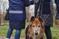 В Воронцовском сквере призвали к ответственности нарушителей правил выгула собак