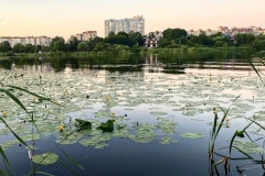 Особенности использования земельных участков на Суздальских озерах