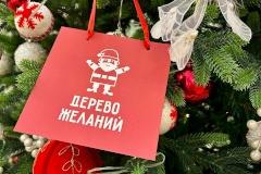 КГИОП принял участие в благотворительной акции по сбору новогодних подарков для детей «Дерево желаний»