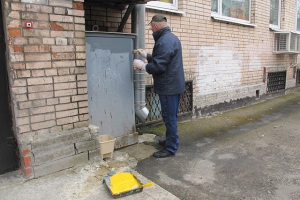 Учреждения Невского района продолжают работы по благоустройству