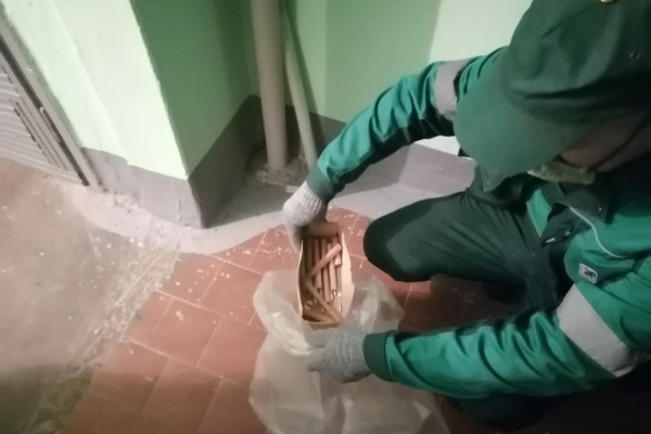 В экологические аварийные службы за неделю поступило более 170 обращений