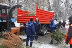 В Калининском районе завершилась традиционная акция по сбору и переработке елей