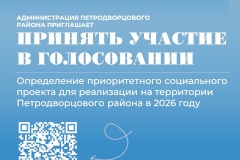 Открыто голосование за приоритетный проект, планируемый к реализации в Петродворцовом районе до конца 2026 года