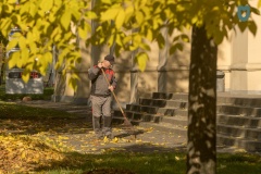 Осенний месячник по благоустройству