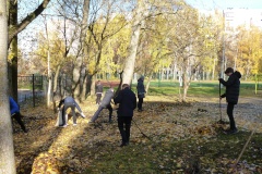 В месяц благоустройства во Фрунзенском районе появляются новые растения