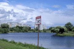 Купание на территории водоемов Фрунзенского района запрещено