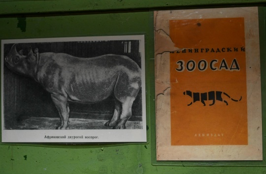 В Петроградском районе открылась выставка о жизни Ленинградского зоопарка в годы блокады