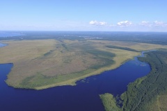 Две ООПТ Санкт‑Петербурга отмечают день рождения