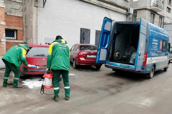 Более 2,4 тонн опасных отходов собрали экологические службы за неделю