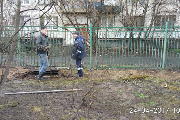  Коллектив детского сада № 82 Невского района провел генеральную уборку территории