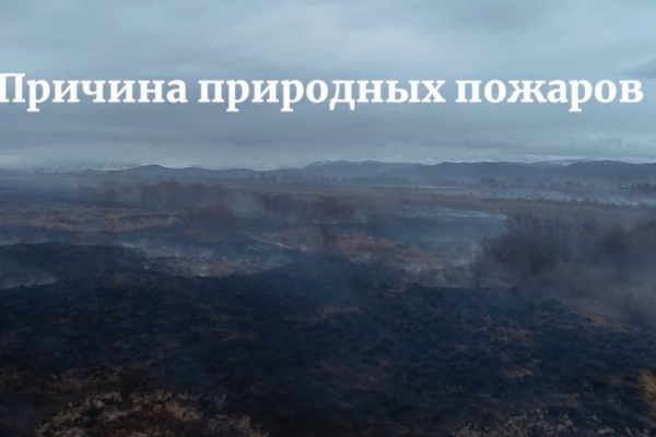 Причина пожаров - человек (15 сек.)