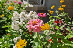 Поздравляем ветеранов - юбиляров августа!