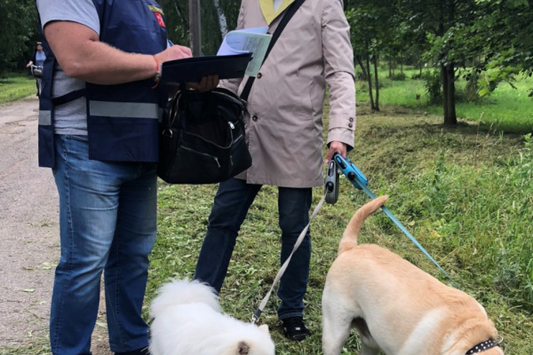 Дисциплину владельцев животных проверяли в Кировском районе
