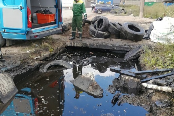 Экологи собрали более 6 тонн опасных отходов за неделю