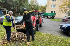 В Петродворцовом районе началась генеральная осенняя уборка