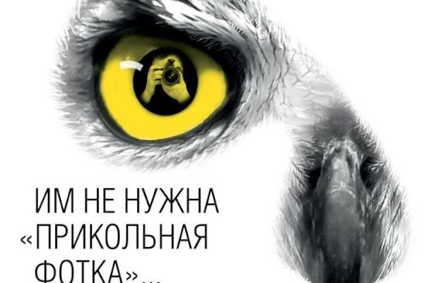 Комитет по природопользованию призывает к бережному отношению к диким животным