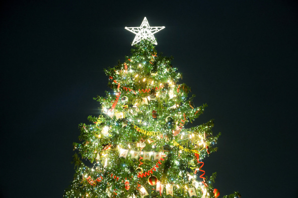 Зажжение праздничных огней на главной городской ёлке