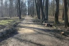 Коммунальные службы оперативно справились с последствиями сильного ветра