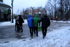 В Петербурге изъяты 3 енота и еще одна сова