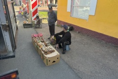 Борьба с незаконной торговлей в Петродворцовом районе: итоги недели