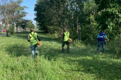 Во Фрунзенском районе продолжаются работы по содержанию территорий, не имеющих ведомственной принадлежности