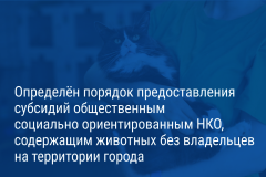 Александр Беглов подписал постановление, направленное на поддержку приютов для животных