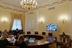В Смольном провели on-line семинар по организации кризисной помощи и психологической реабилитации детей