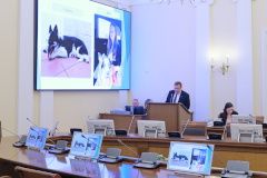Город продолжит выделять бюджетные средства на поддержку приютов для животных