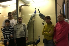 Зоологический музей РАН провел экскурсию для фрунзенцев