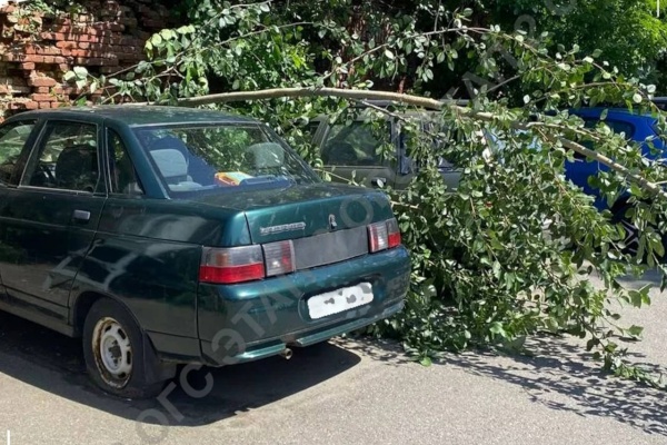 Администрации районов отчитались об уборке дворов после ураганного ветра