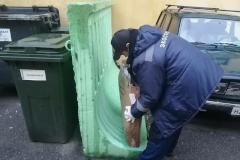 Порядка 74 тонн опасных отходов собрали экологические службы за неделю
