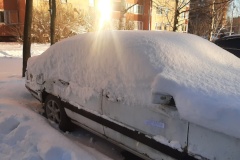 В Петергофе разыскиваются владельцы разукомплектованных транспортных средств