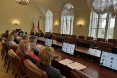 В администрации Петродворцового района обсудили оптимизацию рабочих процессов, реализуемую в рамках программы «Эффективный регион»