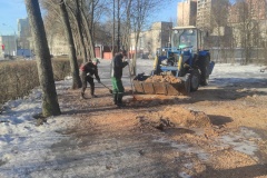 В Невском районе проходят весенние мероприятия по уходу за зелеными насаждениями