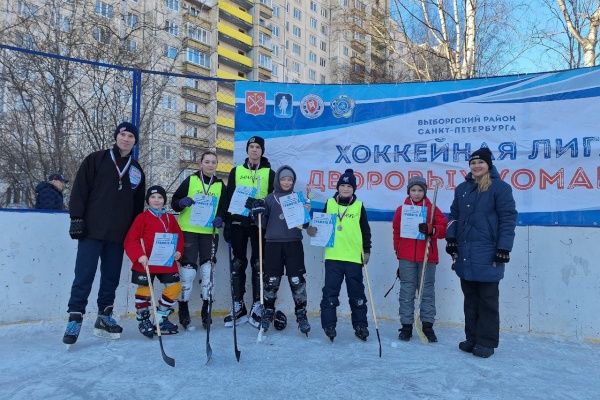 Хоккейная лига дворовых команд