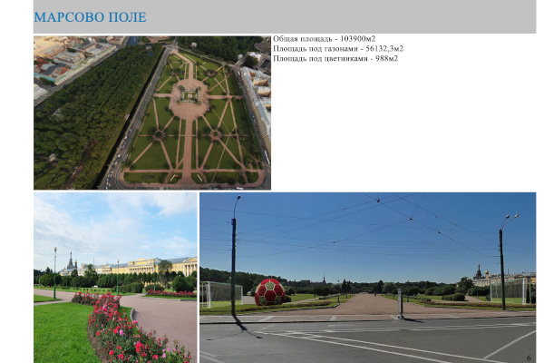 Новые решения в озеленении города