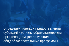 Александр Беглов: Город поддержит субсидиями негосударственные школы и детские сады