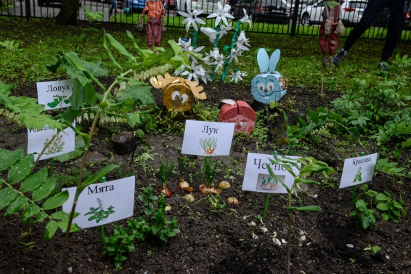 Вчера в детском садике № 106 открылся Фенологический парк