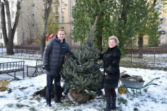 Во дворе школы № 174 рамках акции "Сбербанк - Центральному району" посадили ель