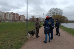 В парке Интернационалистов трех владельцев собак привлекли к административной ответственности